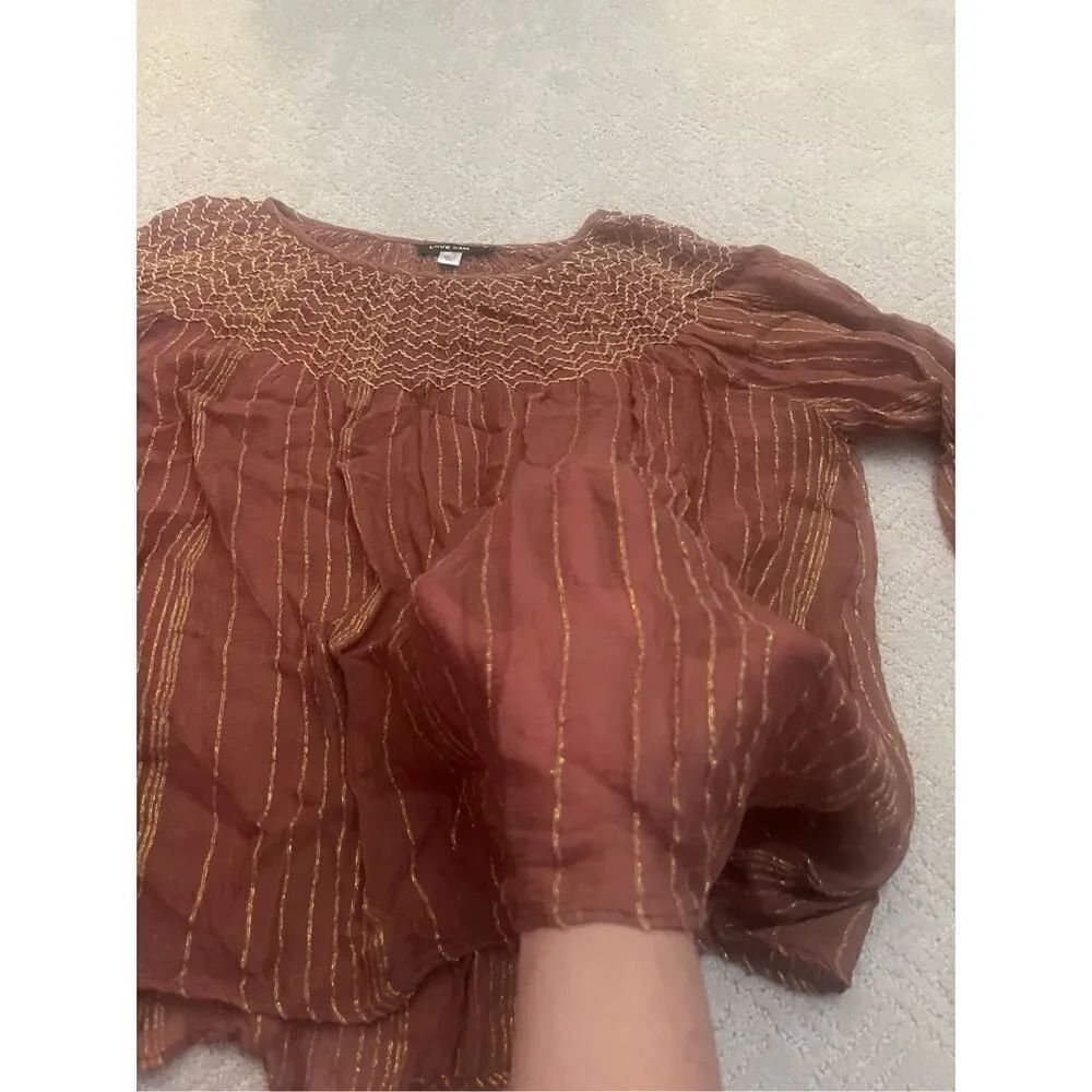 Love Sam Sheer Blouse - Picture 4 of 6